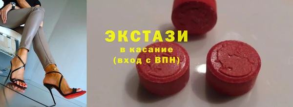 spice Богородицк